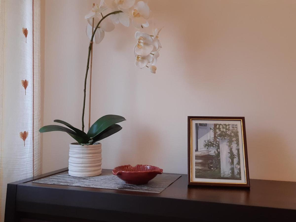 Akord Apartment Centrum With Free Parking ปาร์นู ภายนอก รูปภาพ